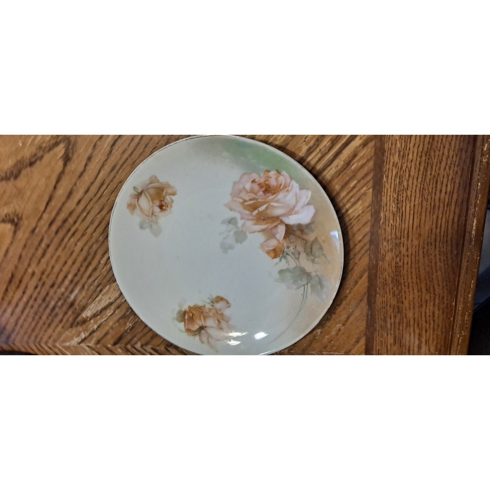 RS Germany Porcelain 8" Plate Pink Roses Floral Pattern Gold Trim Signed Handpai